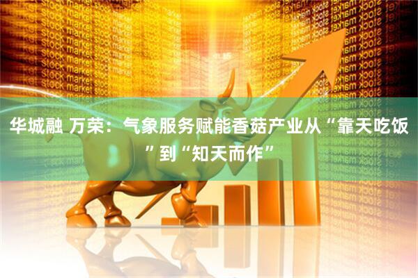 华城融 万荣：气象服务赋能香菇产业从“靠天吃饭”到“知天而作”