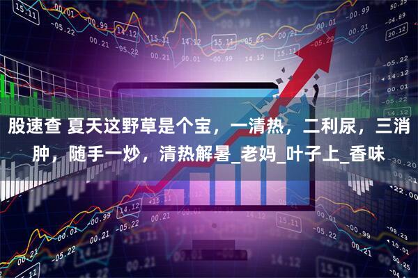 股速查 夏天这野草是个宝，一清热，二利尿，三消肿，随手一炒，清热解暑_老妈_叶子上_香味