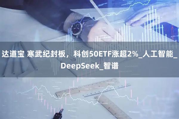 达道宝 寒武纪封板，科创50ETF涨超2%_人工智能_DeepSeek_智谱