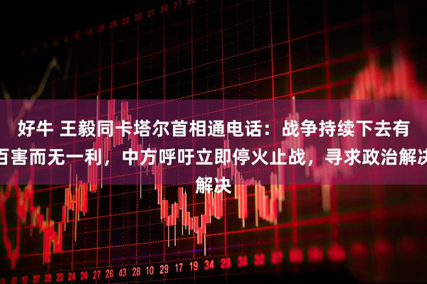 好牛 王毅同卡塔尔首相通电话：战争持续下去有百害而无一利，中方呼吁立即停火止战，寻求政治解决